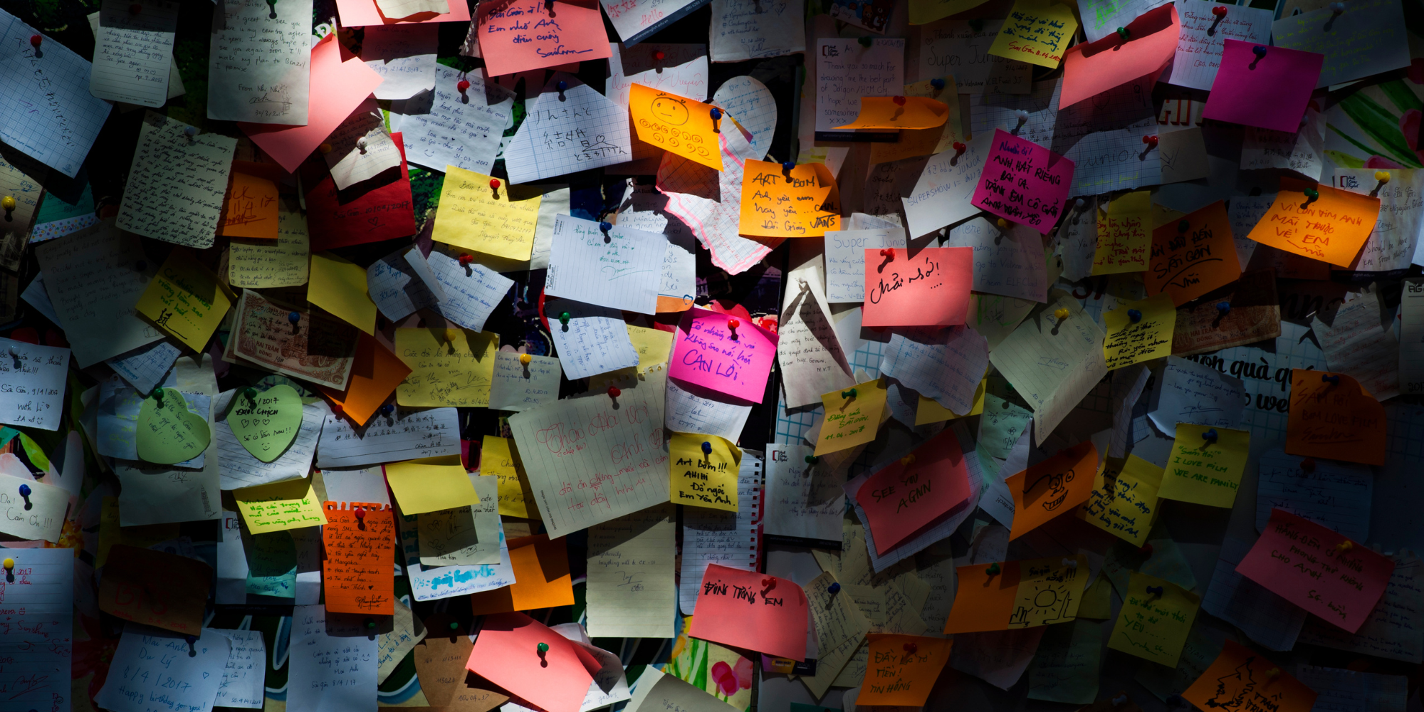 Field Notes